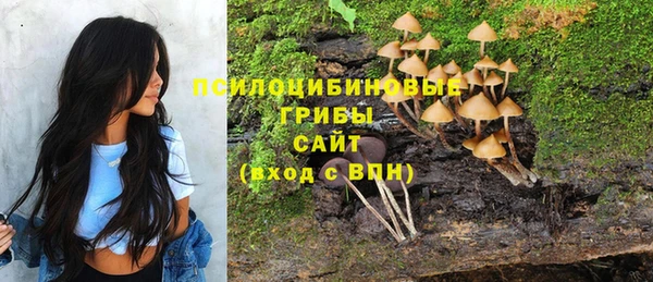 прущая мука Абаза