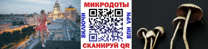 Галлюциногенные грибы мицелий  купить закладку  Шарья 