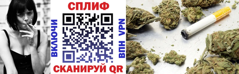 как найти Шарья Каннабис THC 21%
